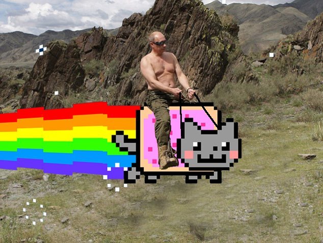 Just Putin on a babysitter - Vladimir Putin, Nyan cat, Hello reading tags