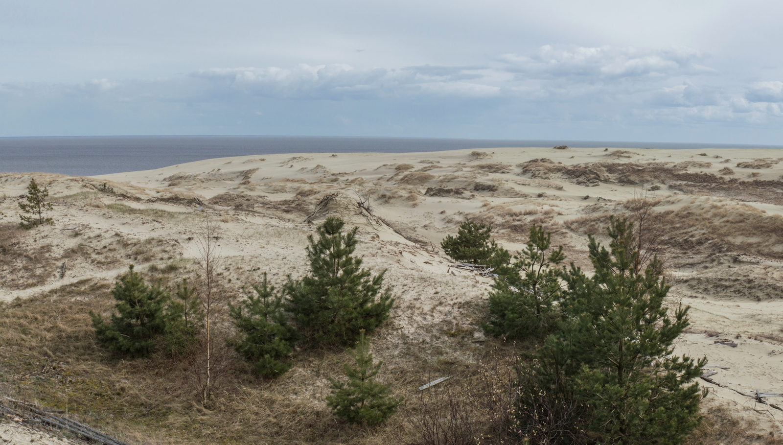 Views of Kaliningrad - My, The photo, Kaliningrad, Travels, Curonian Spit, Longpost