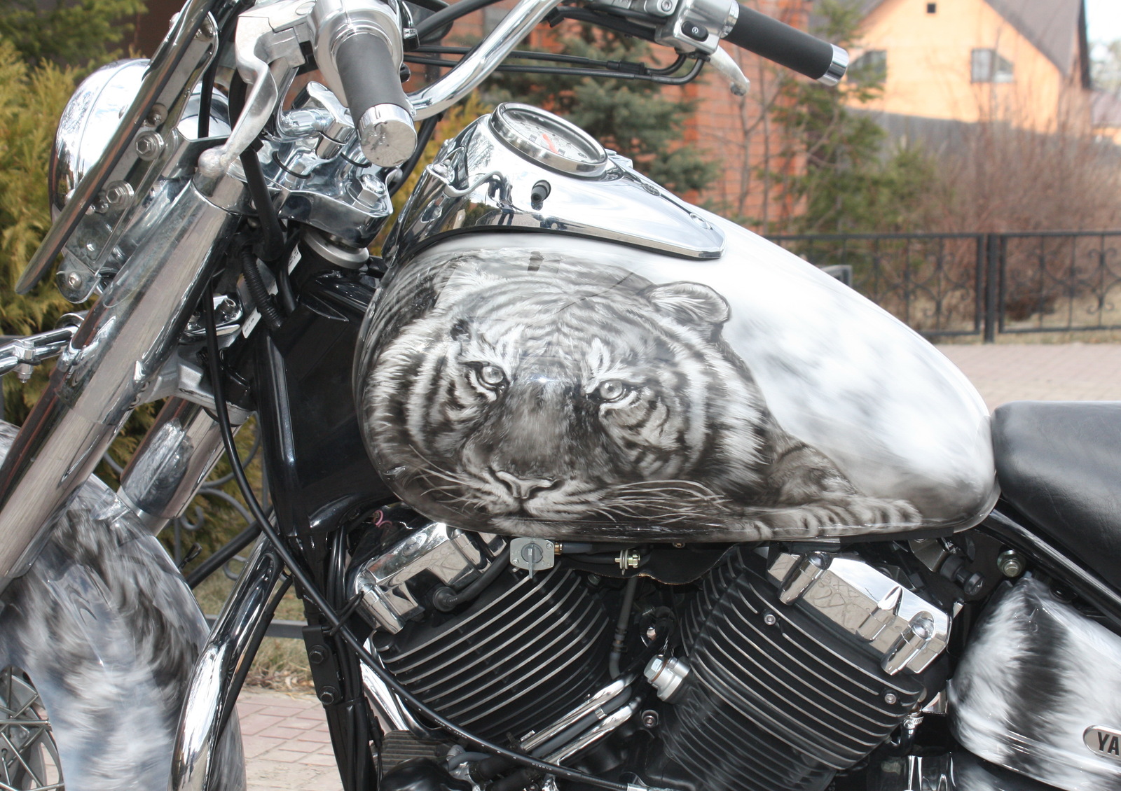 Airbrushing on Yamaha Dragstar, tigers... A bit of the process. - My, Airbrushing, , Yamaha, Airbrushing72, Tyumen, Tyumenaero, Tyumenaero, Longpost