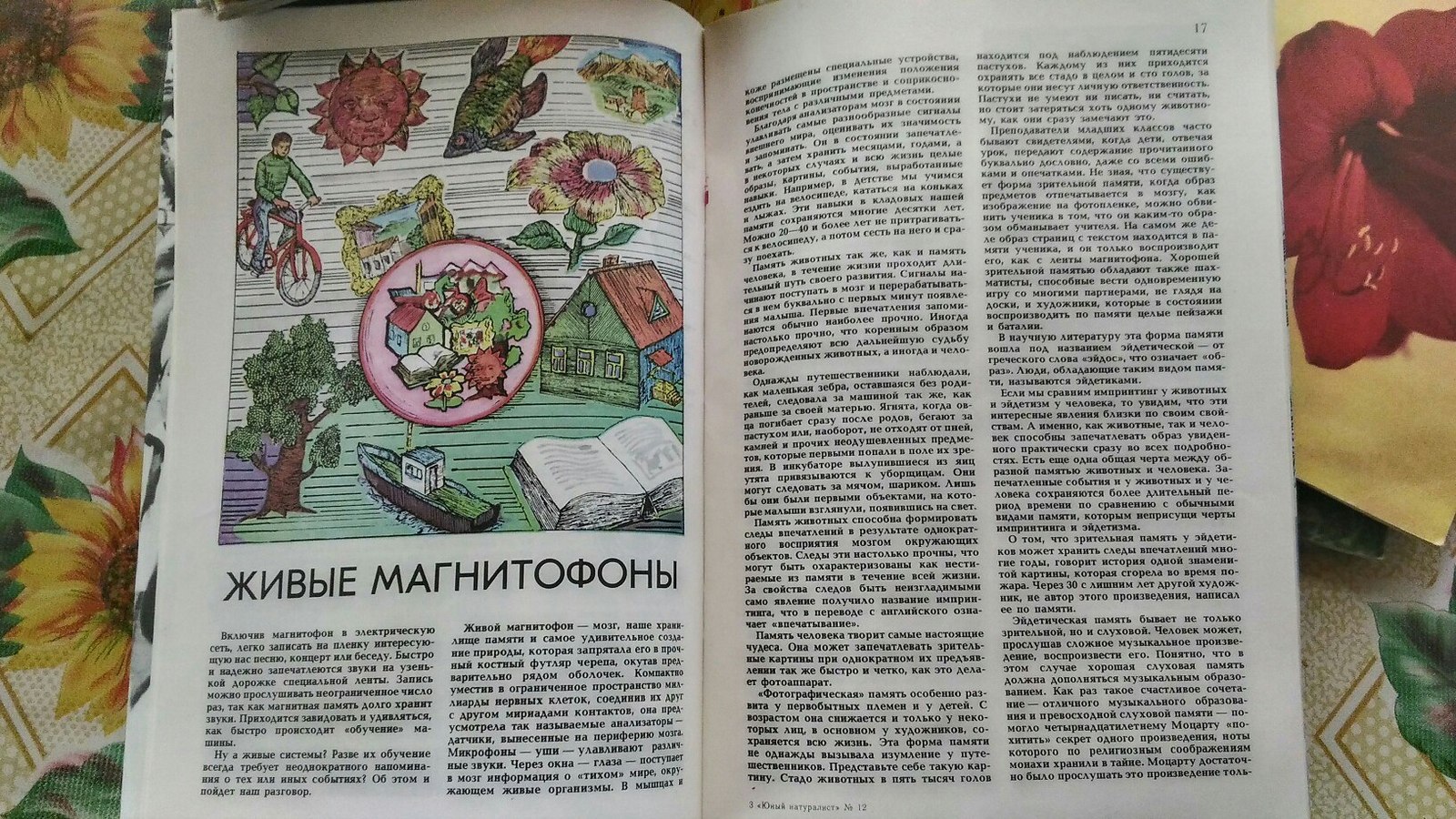 Internet as a child with my parents - My, Young Naturalist, Find, Magazine, the USSR, Longpost