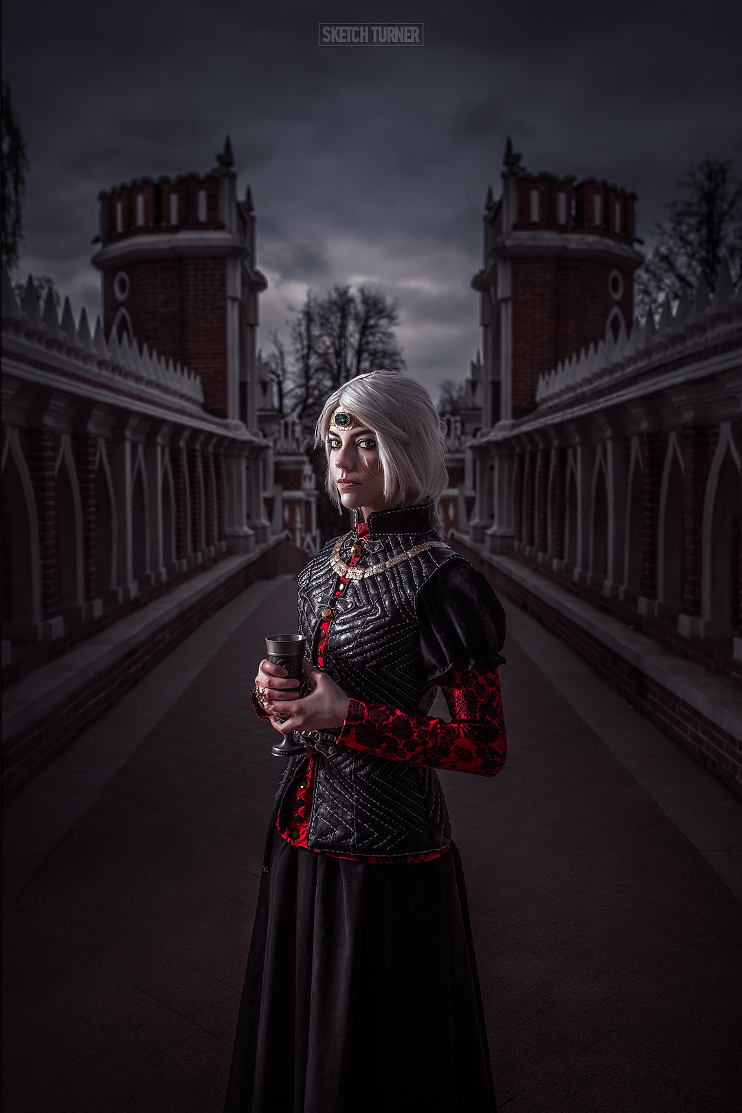 Empress of Nilfgaard - My, The Witcher 3: Wild Hunt, Ciri, Cosplay, Longpost, CD Projekt, The Witcher 3: Wild Hunt