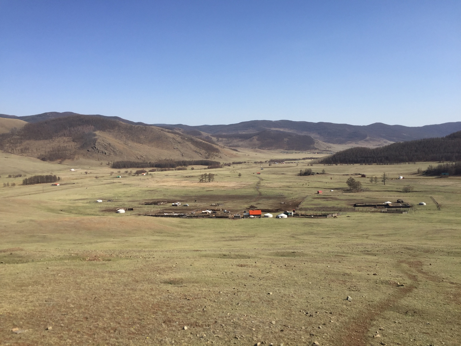 Mongolia as it is - My, Mongolia, , Mongol Shuudan, Longpost