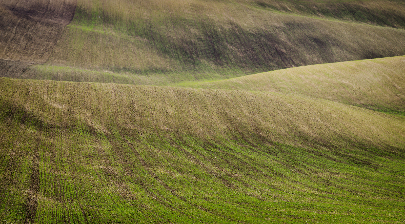 Hills of Moravia - My, Czech, Moravia, The hills, Field, Longpost