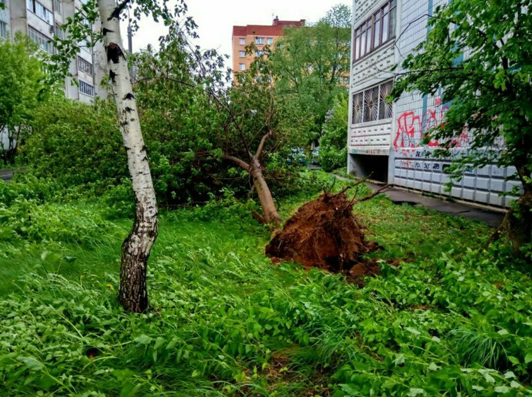 Today's hurricane in Mytishchi - The photo, Thunderstorm, Hurricane, Weather, Longpost