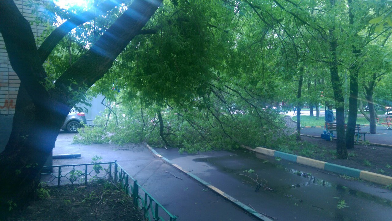 Consequences of the strongest wind in Moscow, Perovo - My, Moscow, Wind, Consequences, Hurricane, Longpost