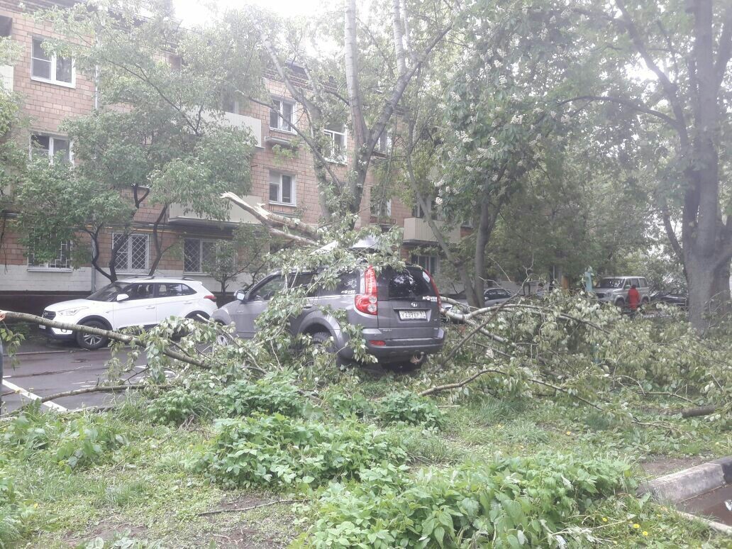 Consequences of the hurricane, Moscow, SVAO - Hurricane, Moscow, Longpost