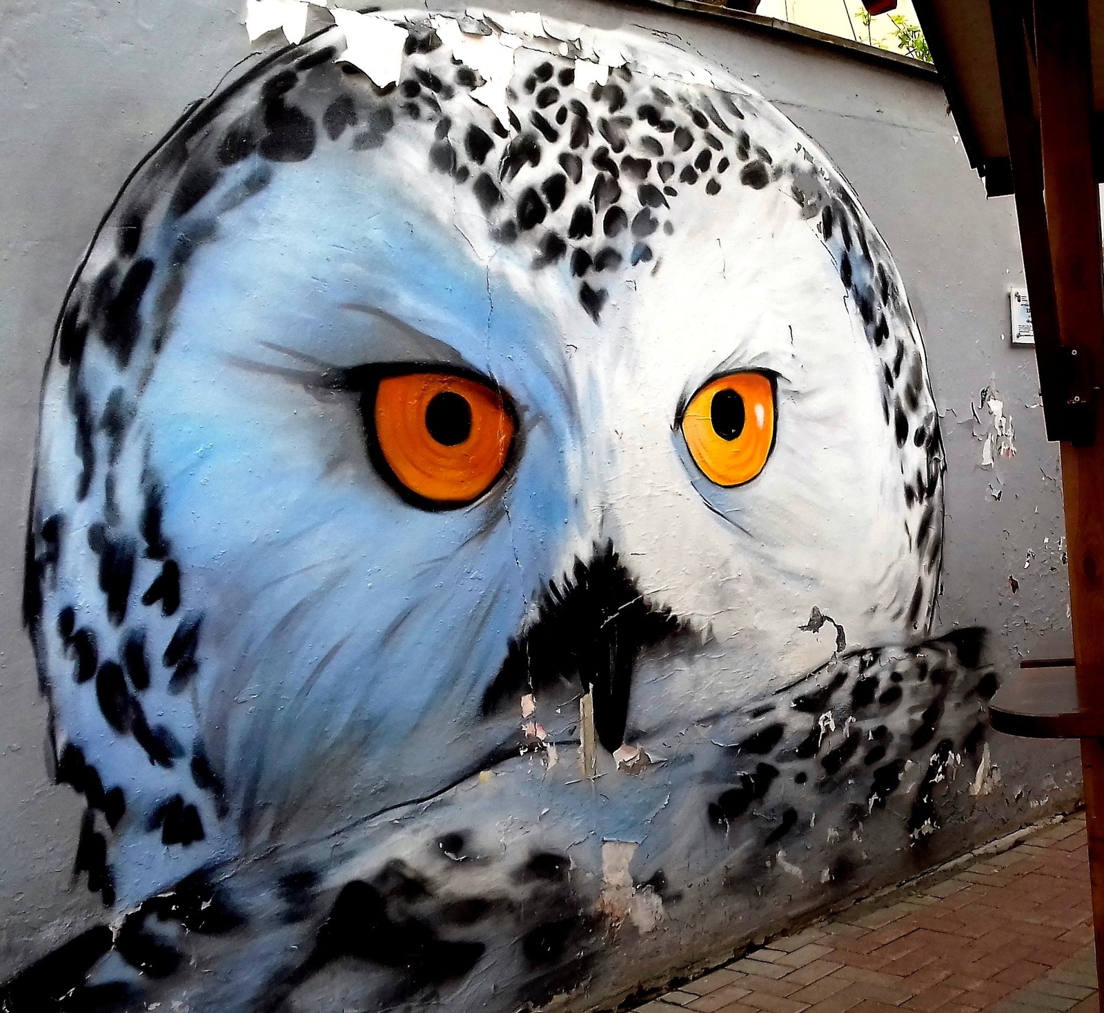 Graffiti (as well as street art) should decorate the walls, not disfigure them. #10 - My, Graffiti, Street art, Street painting, Polar owl, Moscow, Old Arbat