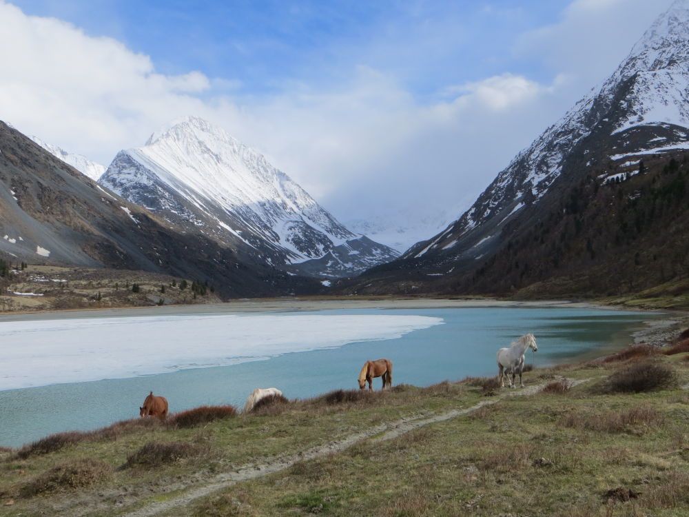 ALTAI: MOUNTAINS, BEYOND SKY, TURQUOISE RIVERS - The photo, Russia, Altai, Nature, Landscape, Tourism, Travels, beauty of nature, Longpost, Altai Republic