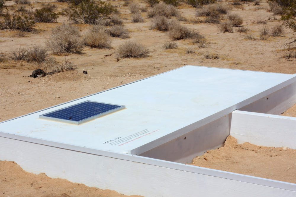 Secret pool in the middle of the Mojave Desert - Swimming pool, Desert, Mojave, Secret, Longpost