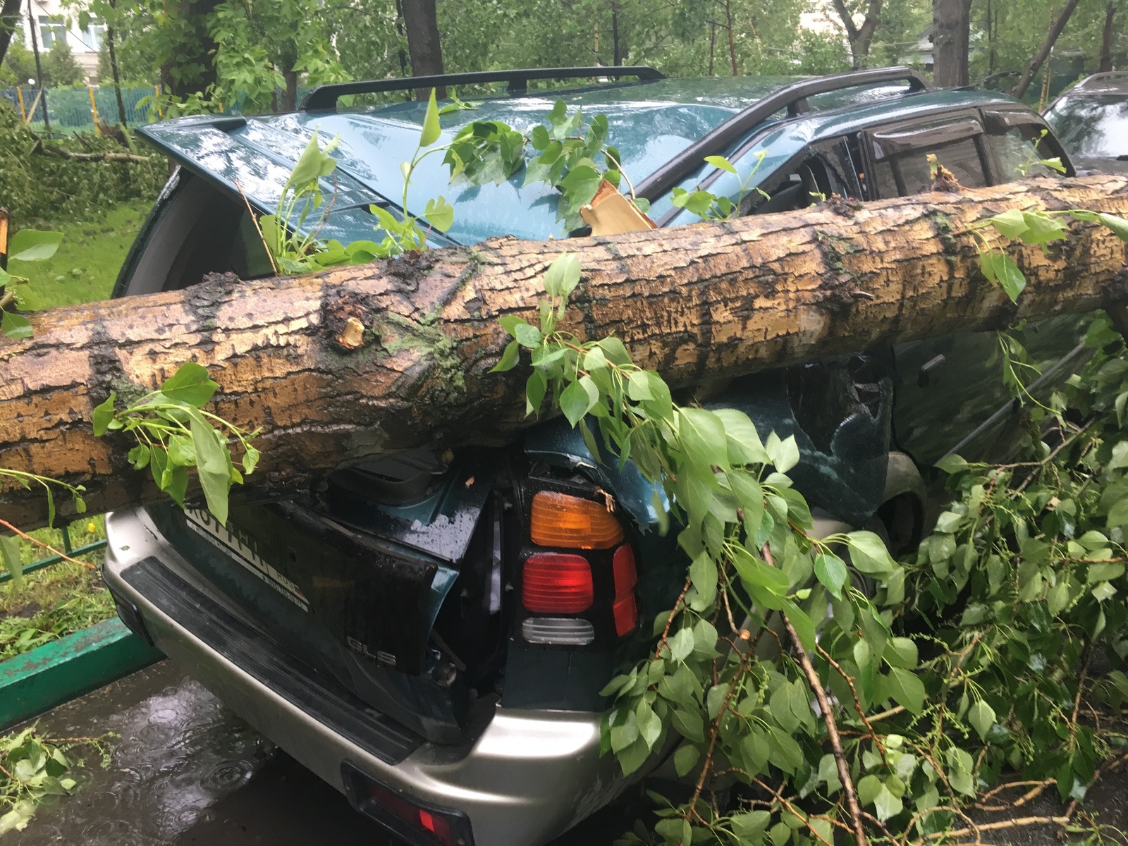 The elements are raging, raging in Moscow - My, My, Tree, Hurricane, Video