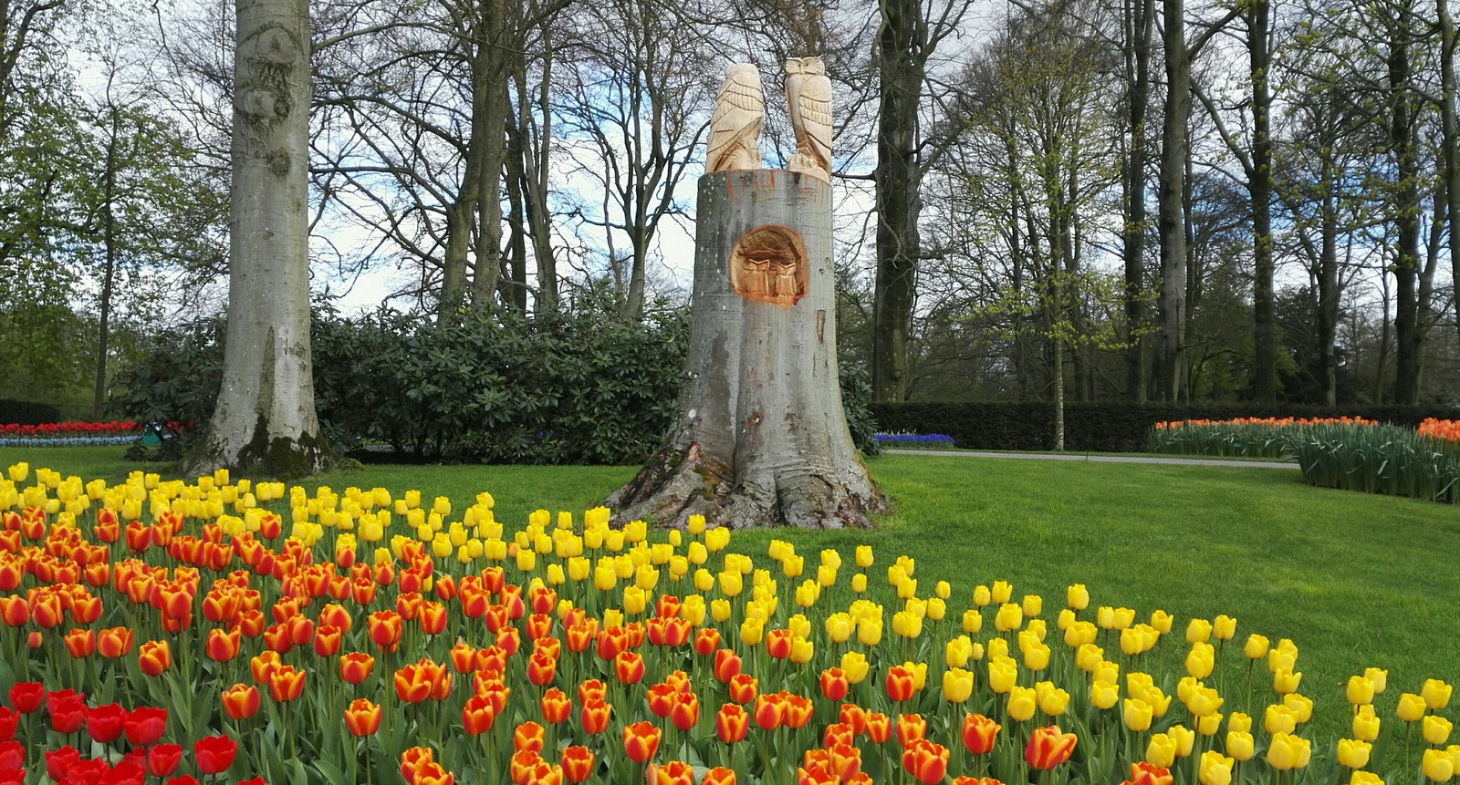 Flower Park Holland 2017 - My, The park, Holland, Longpost, Netherlands (Holland)