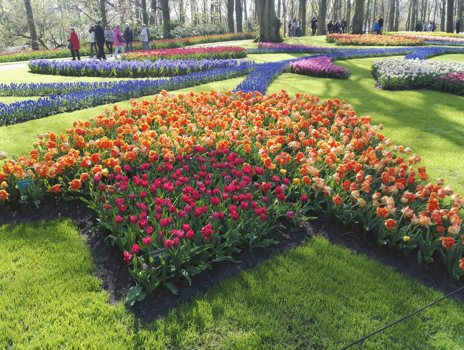 Flower Park Holland 2017 - My, The park, Holland, Longpost, Netherlands (Holland)