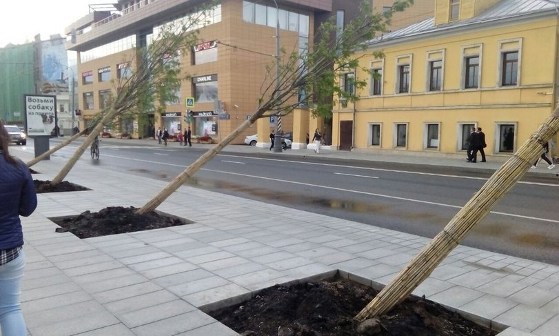 Косплей от московских деревьев - Майкл Джексон, Москва, Ураган