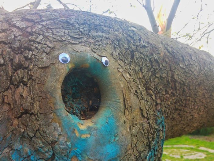 Эти глаза будто одушевляют предметы. - Глаза, Googly Eyes, Неодушевленные предметы, Длиннопост, Предметы