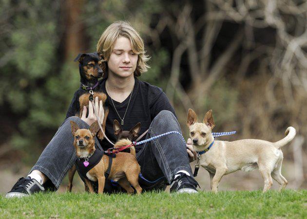 Sixteen-year-old Lou Wegner saved 20,000 dogs and cats from euthanasia - Dog, Animals, Animal Rescue, The rescue, Pet, Dogs and people, Lulling to sleep, Longpost, Pets