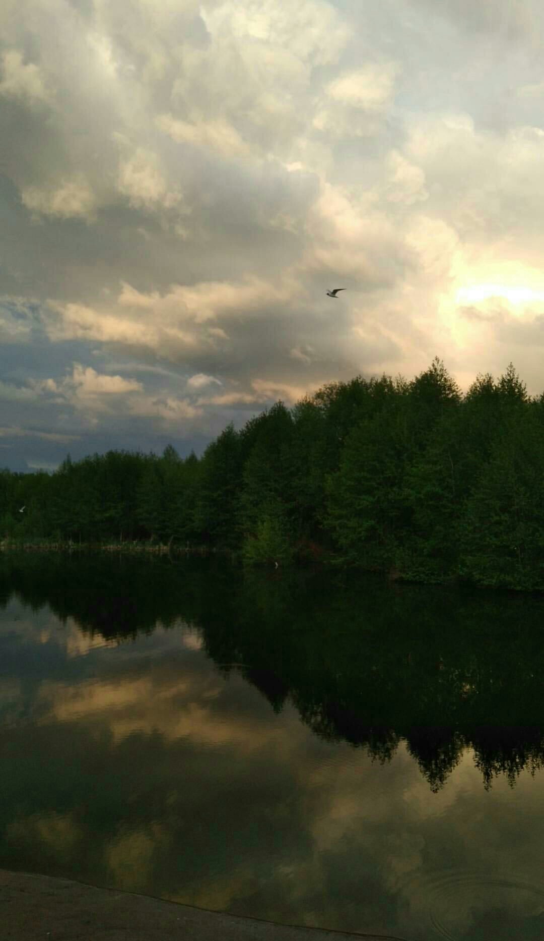 Atmospheric - My, Nature, River