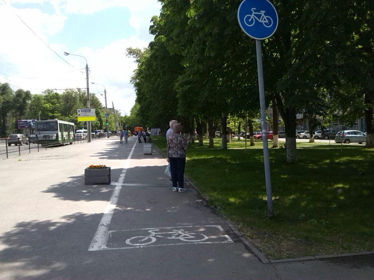 Bicycle lane? What for? - My, Rostov-on-Don, Bike path, Progress, Beautification, Town, My, ZZHM