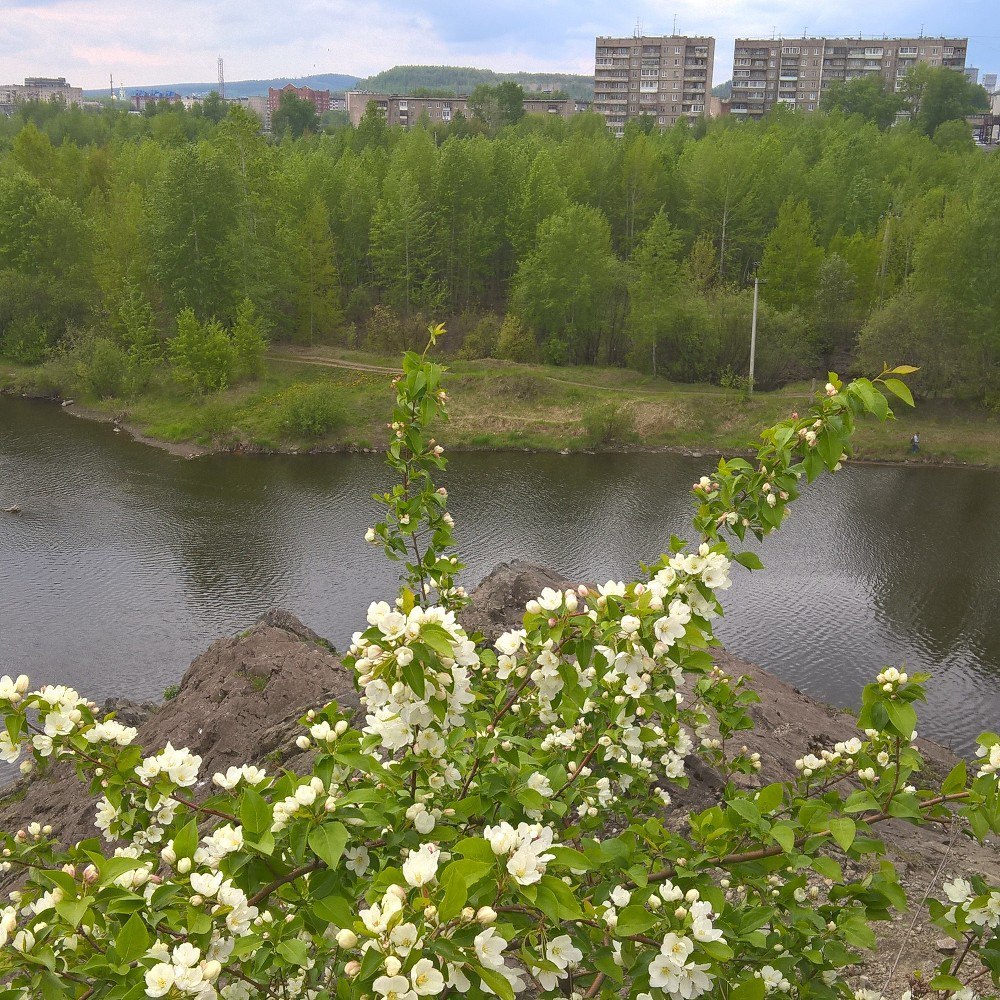 View from Mount Shihan - My, The photo, Sheehan, Nature, Nizhny Tagil, Sister, River, The mountains, Longpost, Sisters