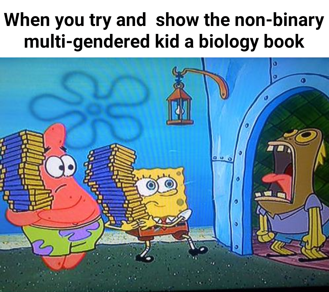 Non binary meme. Non binary Мем. Funny non-binary memes. The non binary Colora.