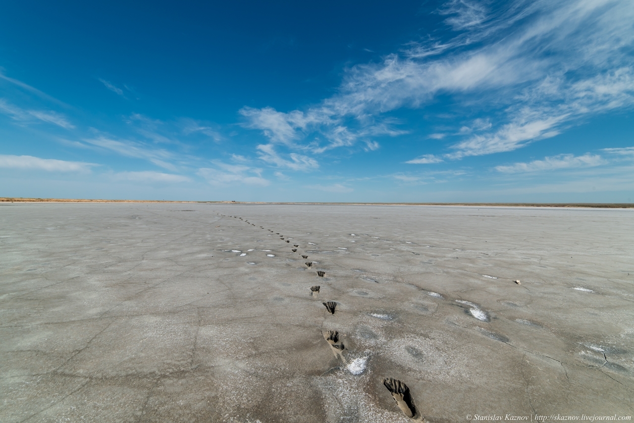 Lake Elton, Caspian lowland. - The photo, Landscape, Lake, Nature, Elton, Longpost