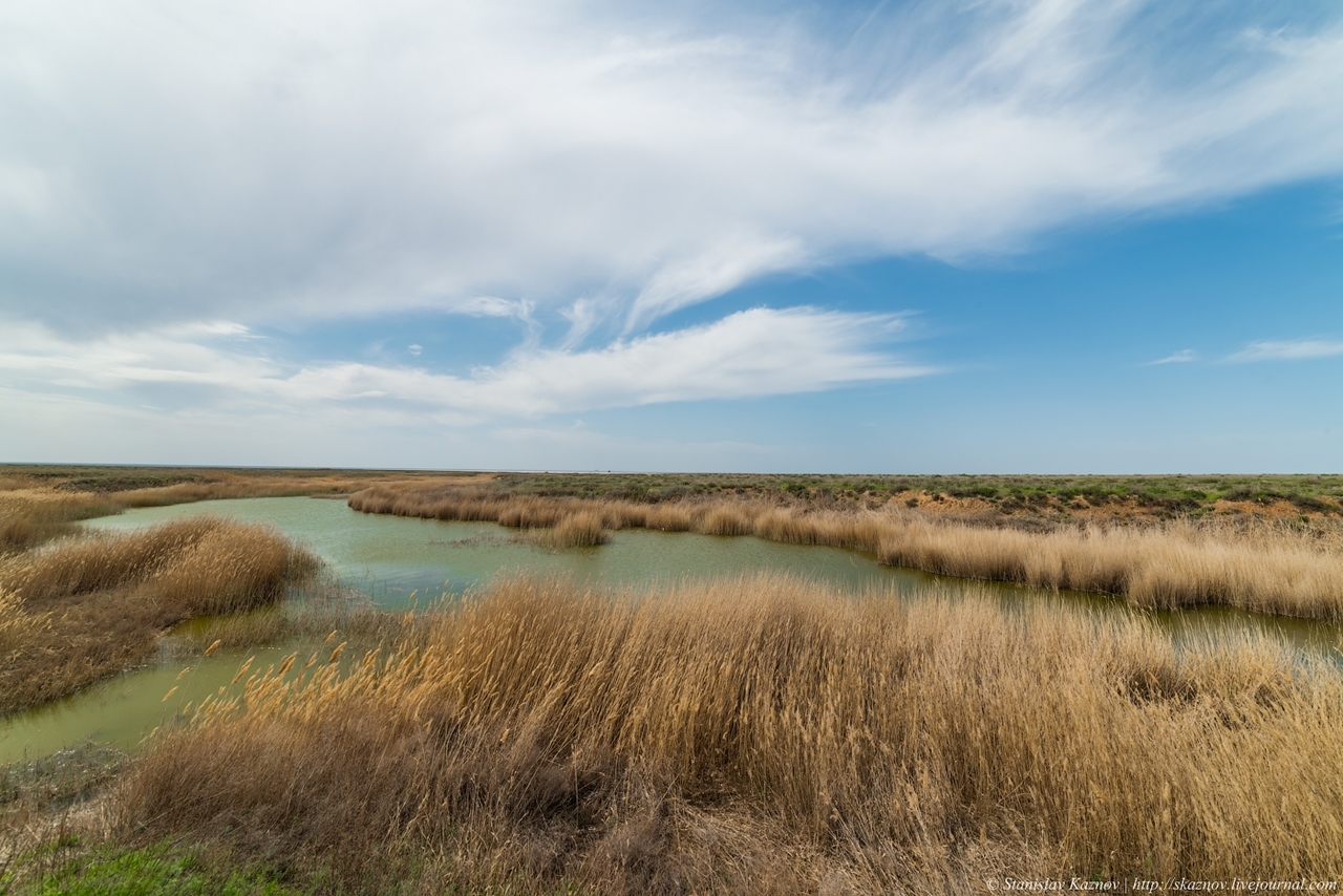 Lake Elton, Caspian lowland. - The photo, Landscape, Lake, Nature, Elton, Longpost