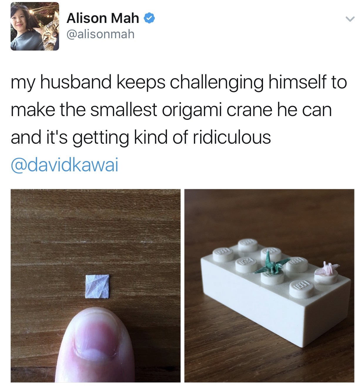 Incredibly tiny origami - Origami, Little, Lego, Longpost