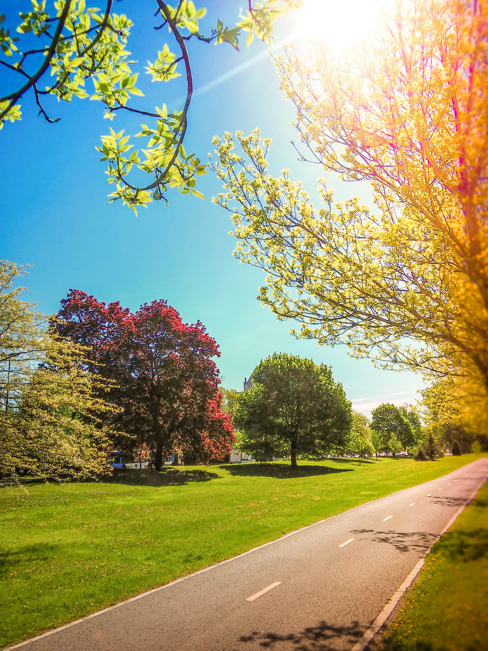 Montreal - summer has come - My, Ca, Montreal, Montreal, The photo