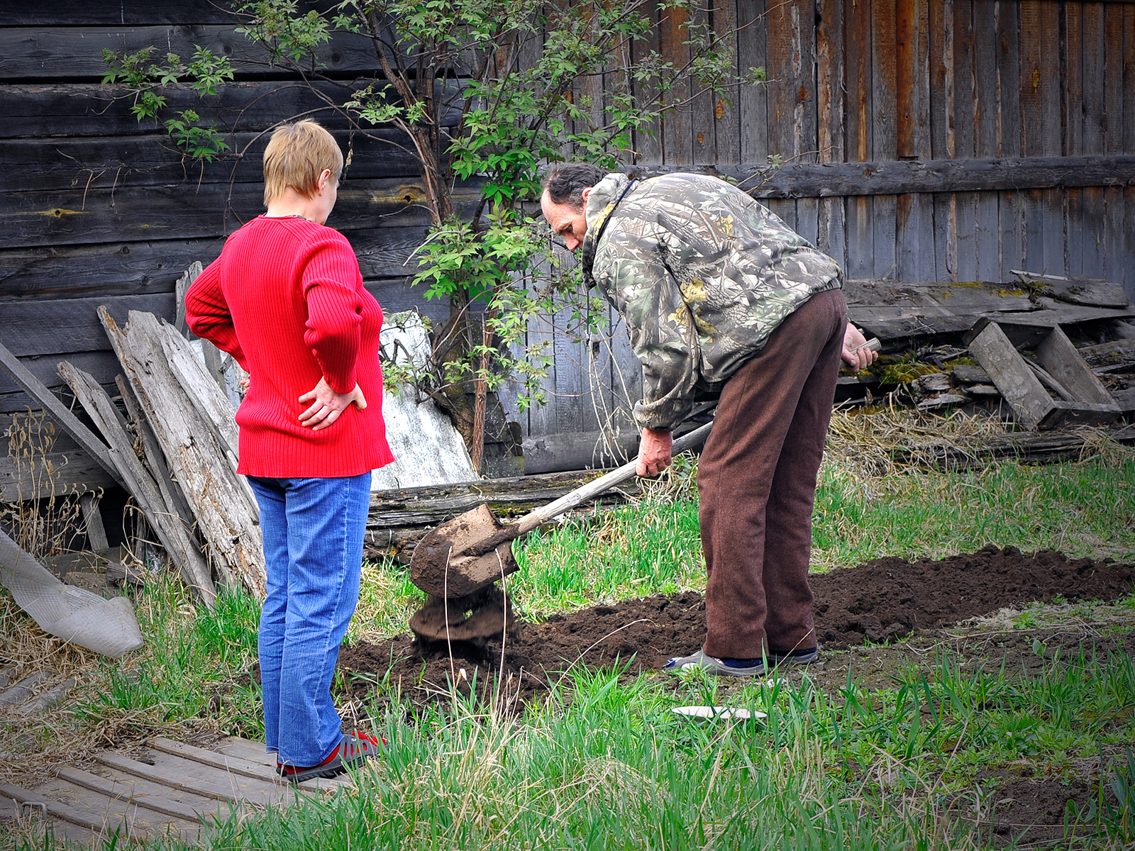 Summer will come, I'll go to the country! - My, The photo, Dacha, Garden, Shovel, Land