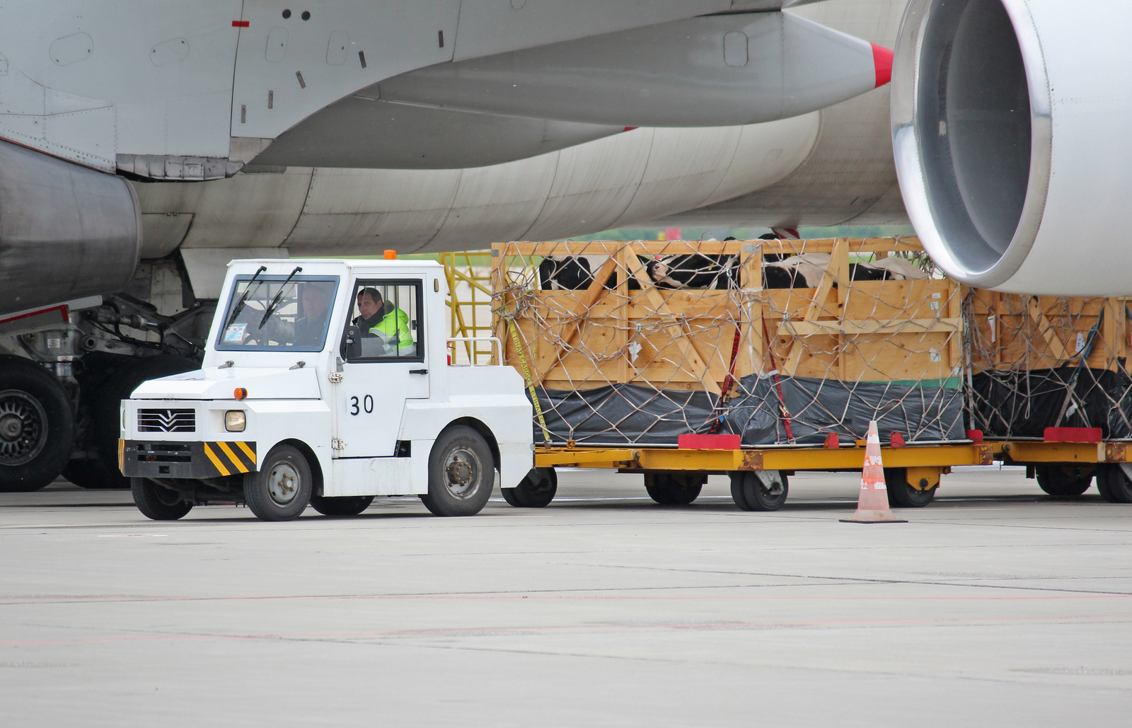 Spring spotting at Vladivostok airport - My, Aviation, The photo, Vladivostok, Spotting, Longpost