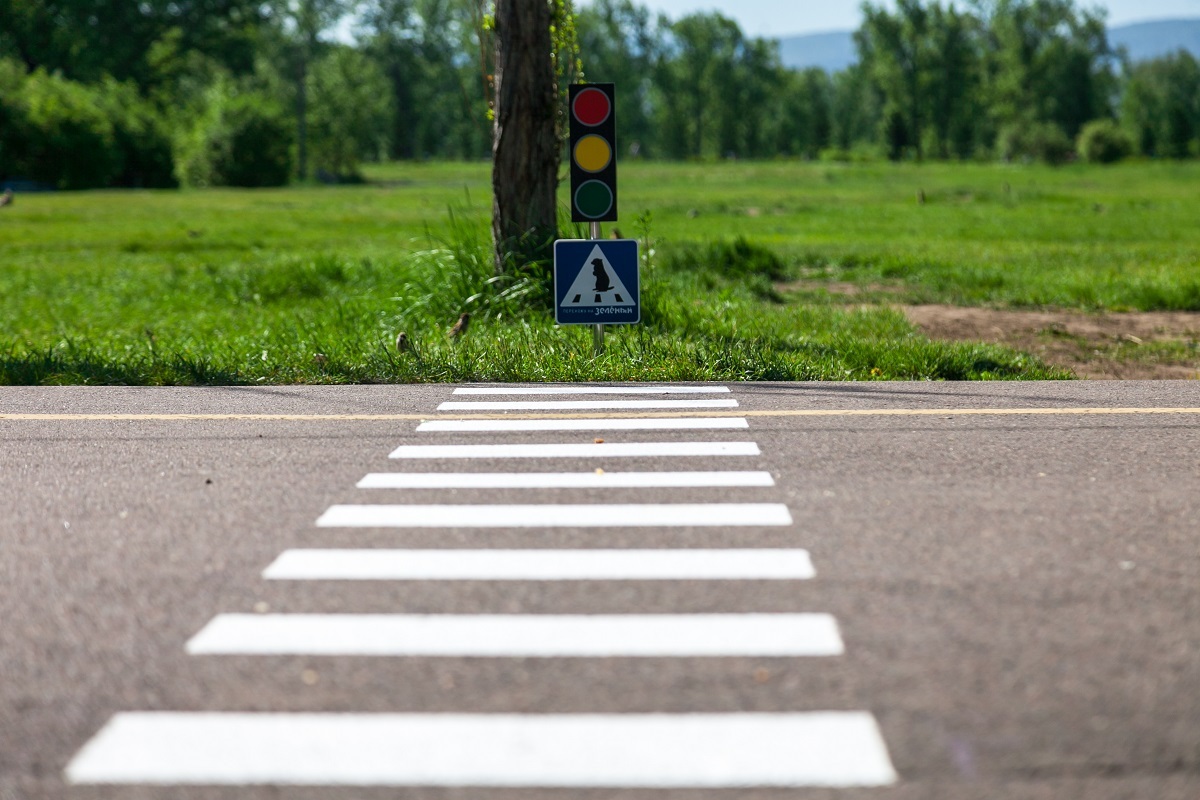 IN KRASNOYARSK A PEDESTRIAN CROSSING FOR GOPPERS APPEARED - Gopher, Krasnoyarsk, Yaumruvkrasnoyarsk, Tatyshev