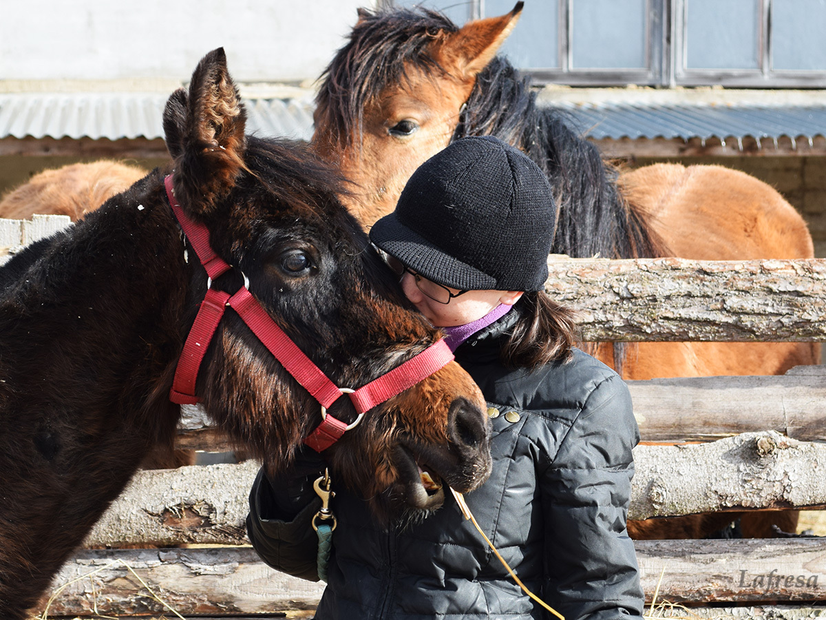 First achievement: 1 year old for my own horse! - My, Horses, Horses, Animals, Happiness, Nature, The photo, Longpost