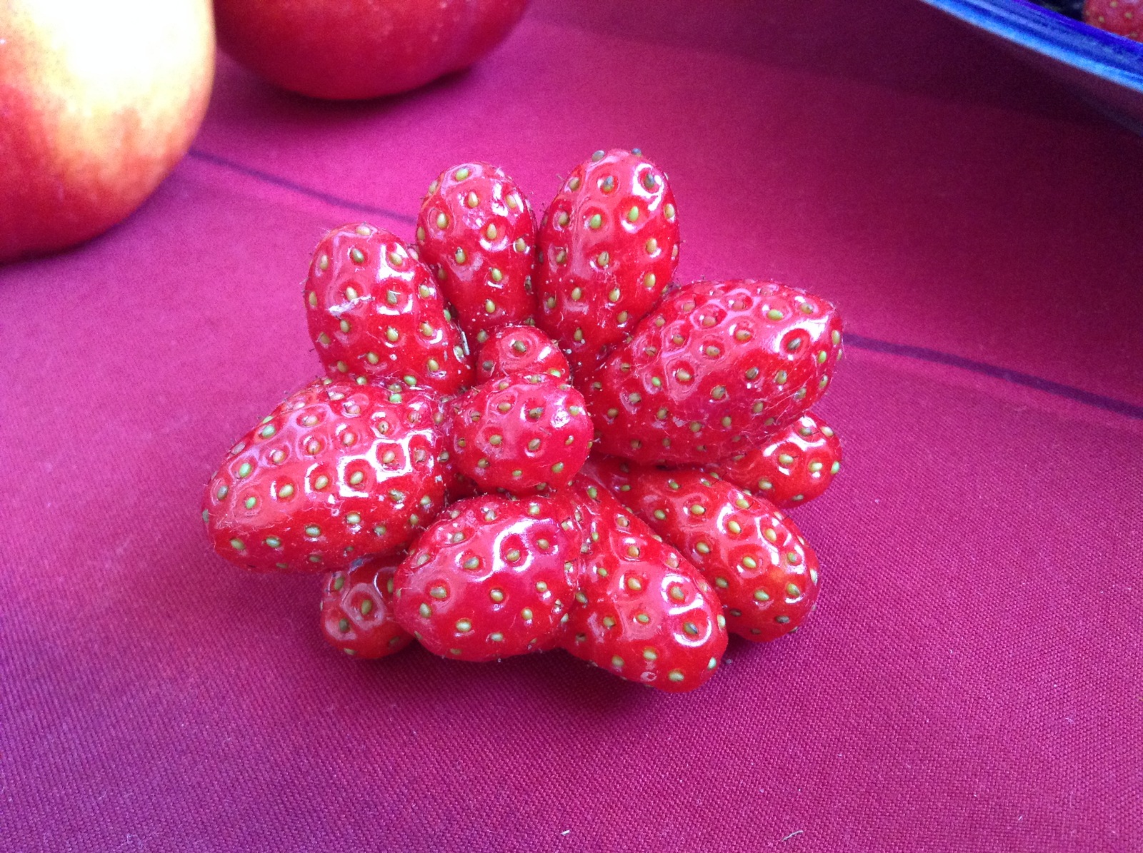 Strawberry - My, Strawberry, Summer, Strawberry (plant)