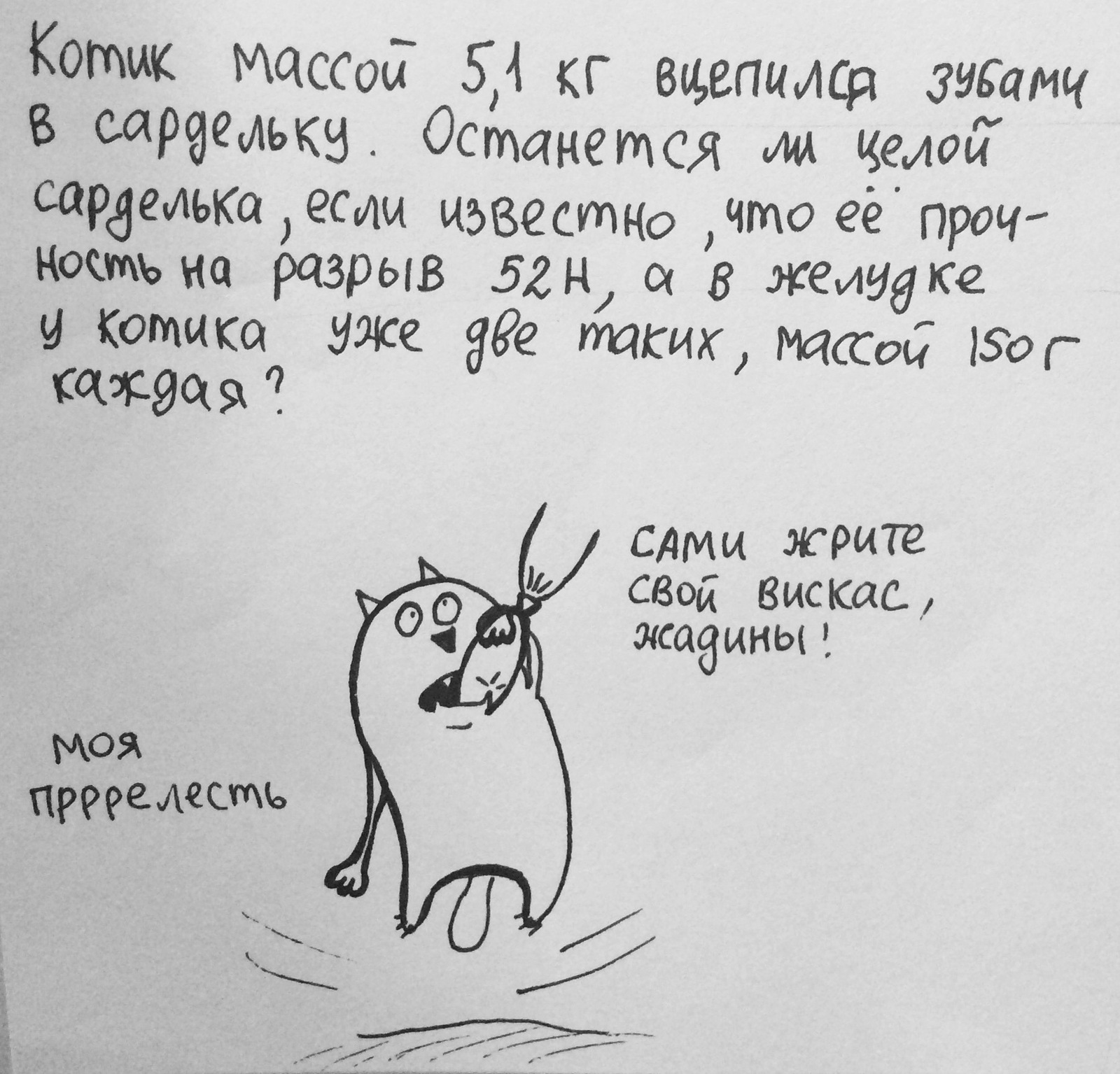 Физика в котиках - Моё, Кот, Физика, Рисунок, Задача, Длиннопост