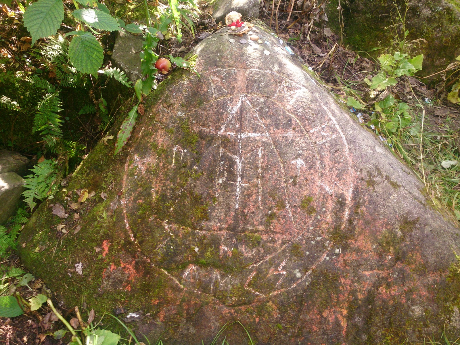 Mountains of Primorsky Krai: Pidan - My, Longpost, The photo, Hike, Mount Pidan, My