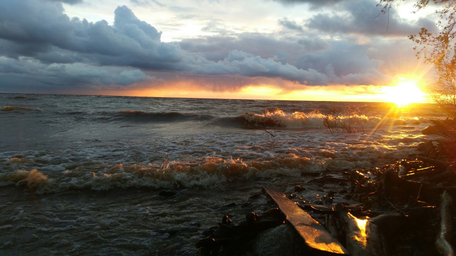 Rybinsk reservoir (hike) - My, Hike, Travels, Camping, Nature, The photo, Longpost, beauty of nature, Sunset