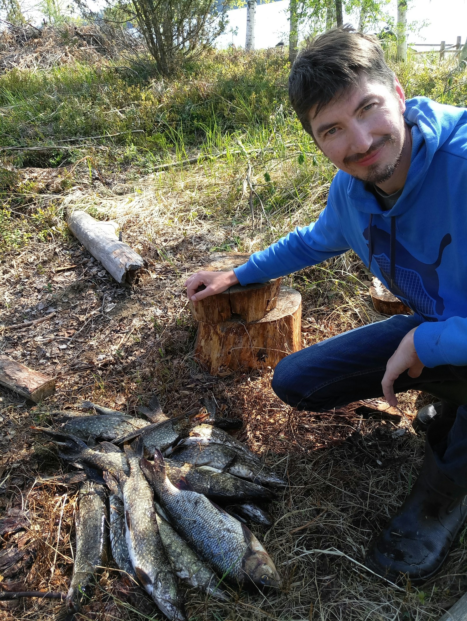 Fishing in Finland - My, North Karelia, Ide, Pike, Longpost