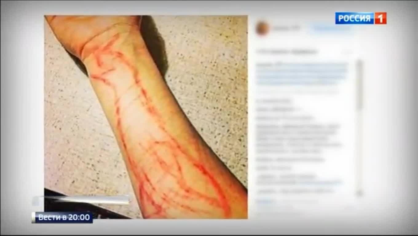 Caught the administrator of the Blue Whale, from the group of death in contact (VIDEO) - Suicide, Blue whale, , Police, The crime, Video, Longpost