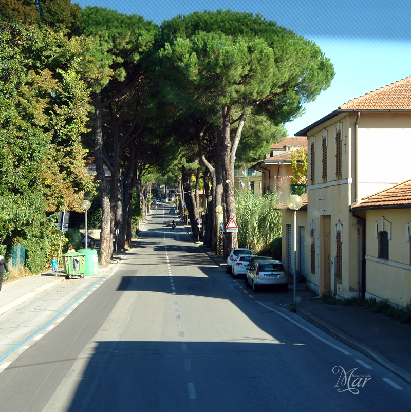 Italy through my eyes Roads... - My, Italy, Travels, Road, Images, Longpost, Toll road, Landscape