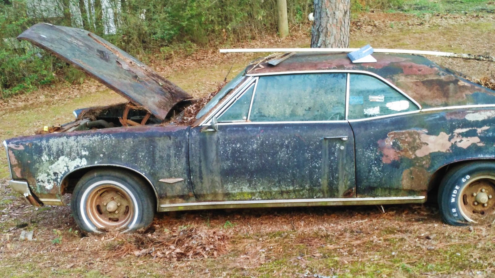 Pontiac GTO 1966 for $1500 (USA, Alabama). - Pontiac GTO, USA, Alabama, Abandoned, A world without people, Longpost