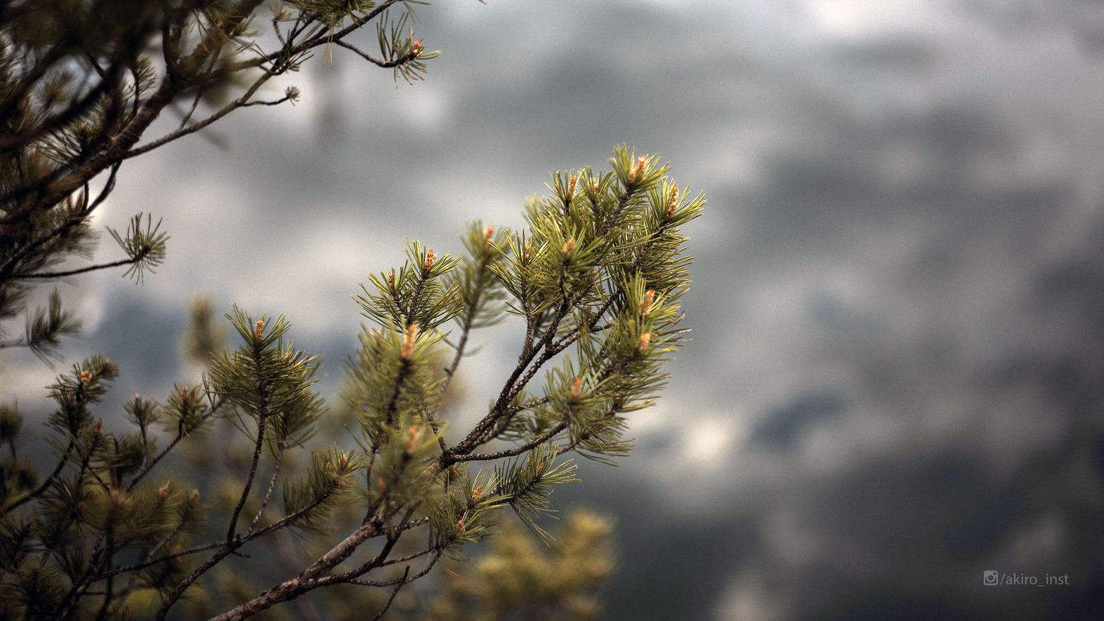 Excursion to an abandoned granite quarry - My, Career, The photo, Nature, Photographer, Korostyshiv, Longpost