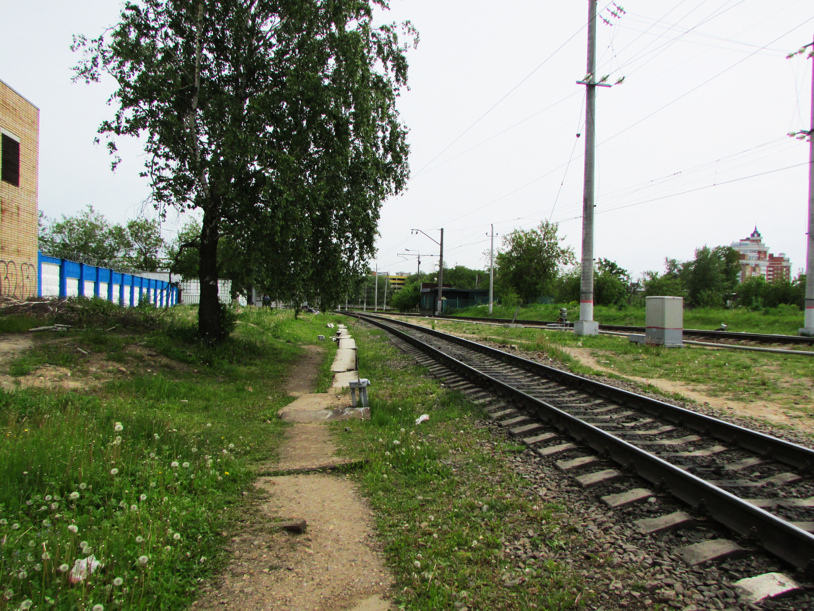 Railway - My, Railway, , Diesel locomotive CHME3, Rails, Longpost, Republic of Belarus