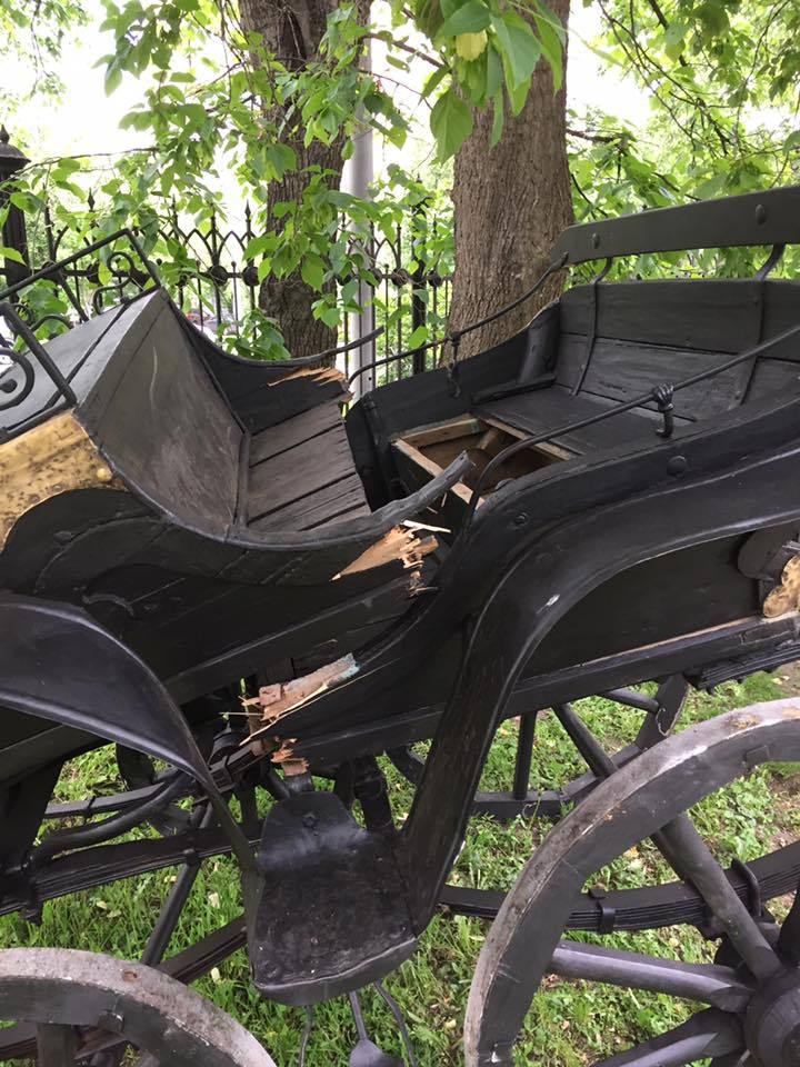 In the Leningrad park of Moscow, horses were carried and a cart with children was overturned - Moscow, Horses, State of emergency, Longpost