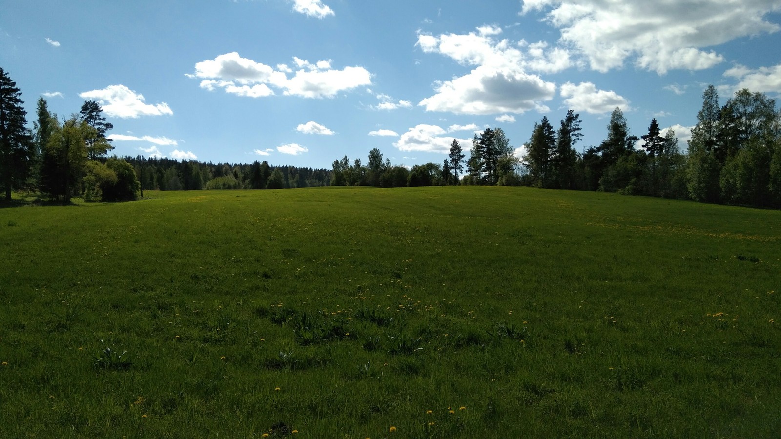 Windows XP - My, Meadow, Beautiful, Windows XP