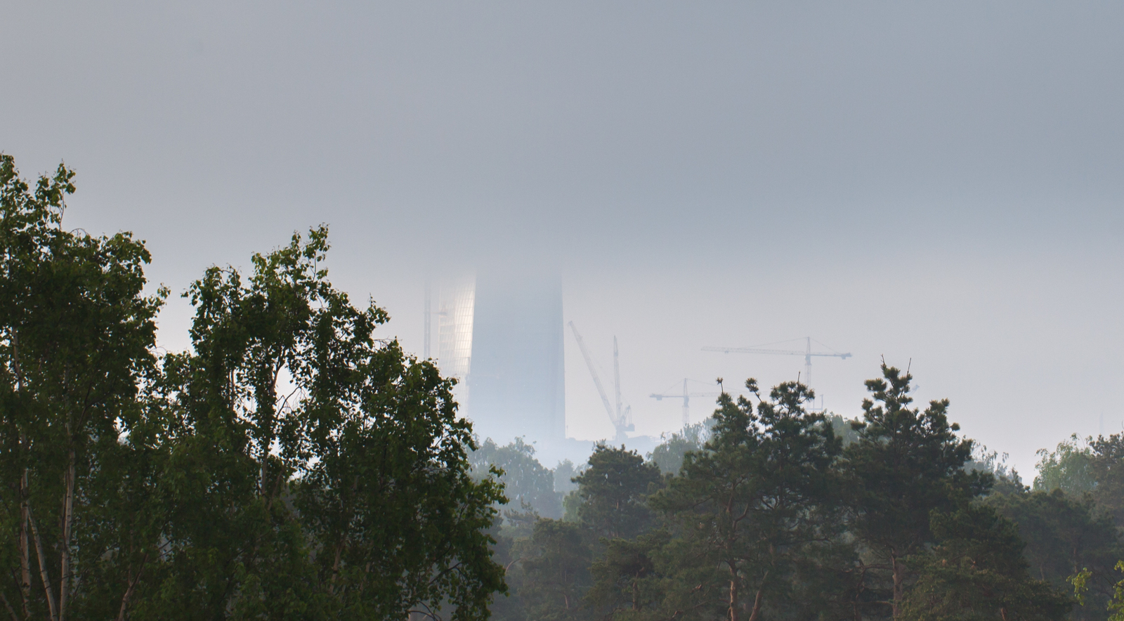 Foggy morning in St. Petersburg - My, Saint Petersburg, Morning, Fog, The sun, Lakhta Center