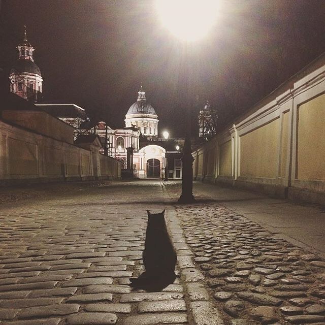 Приглашаю гулять по ночному Санкт-Петербургу ! - Моё, Встреча, Санкт-Петербург, Белые ночи, Длиннопост