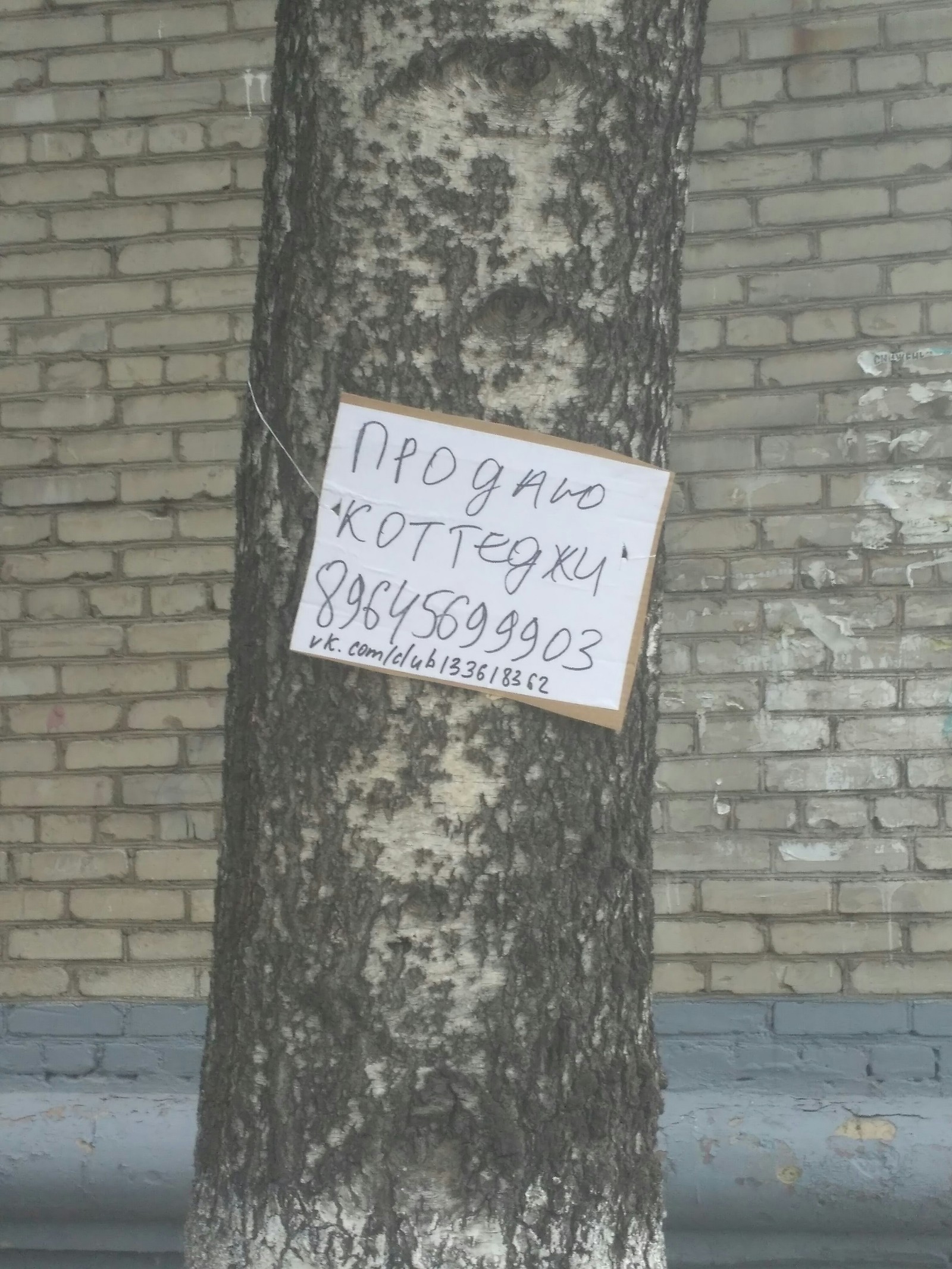 The gods of marketing - My, Balashikha, Advertising, WTF