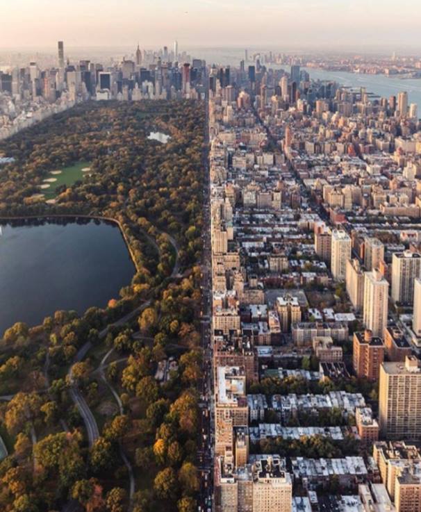 Central Park, New York City | Пикабу