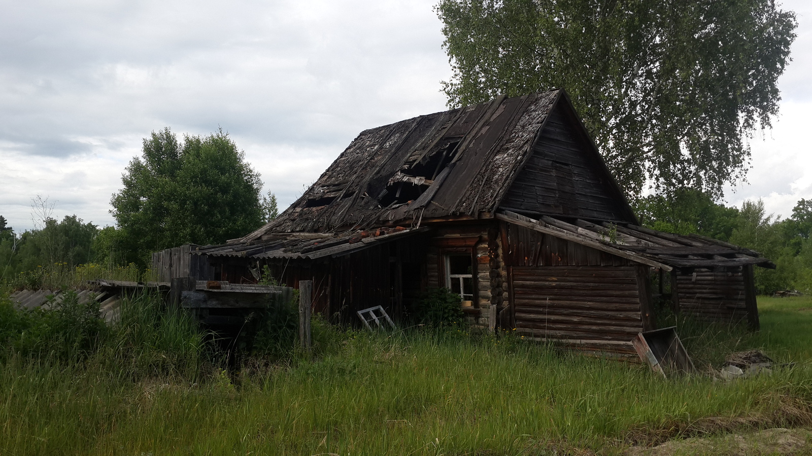 Frozen time. Shot Mickey Mouse - My, Frozen time, Lipetsk, , Bike trip, A bike, Abandoned villages, Village, Fuck aesthetics, Longpost