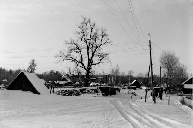 Frozen time. Shot Mickey Mouse - My, Frozen time, Lipetsk, , Bike trip, A bike, Abandoned villages, Village, Fuck aesthetics, Longpost