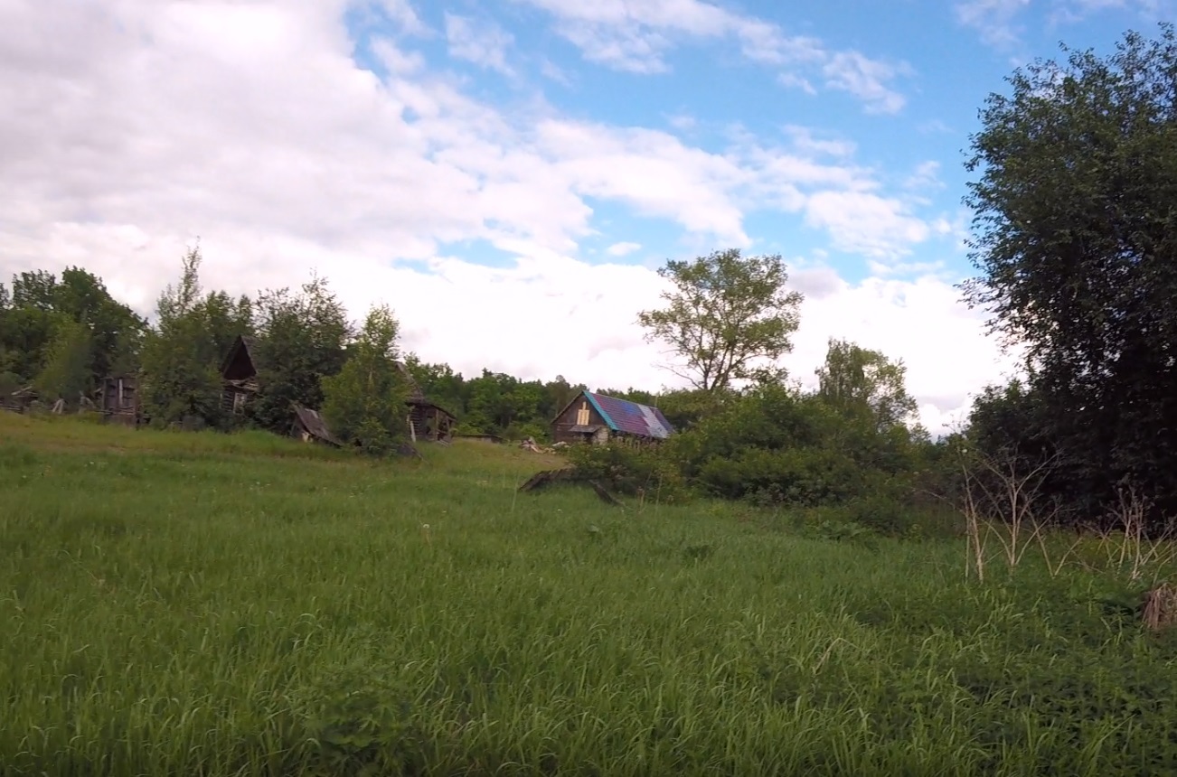 Frozen time. Shot Mickey Mouse - My, Frozen time, Lipetsk, , Bike trip, A bike, Abandoned villages, Village, Fuck aesthetics, Longpost